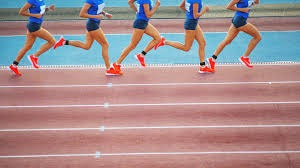 F1阿布扎比排位战报：维斯塔潘强势夺杆，诺里斯第2，皮亚斯特里第3